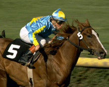 Galopprennen - Jockey