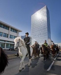 Icelandic Horse Festival 2012