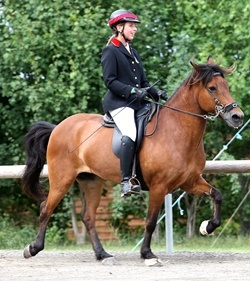 Zuchtreiterin Nadine Hahn