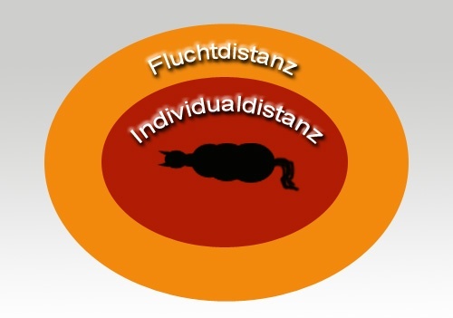 Individualdistanz