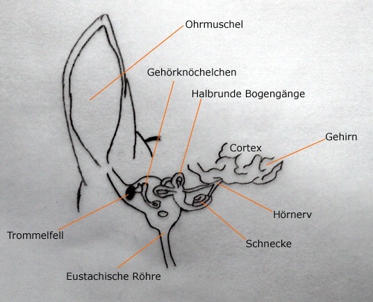 Aufbau