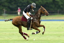 Polo - Geschick mit Schläger und Pferd