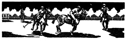 Polo - Mannschaftsport auf dem Pferd