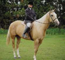 Reitausrüstung von Pferd und Reiter