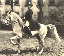 Hohe Schule - Klassisch-Barockes Reiten