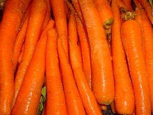 Möhren / Karotten - Saftfutter für Pferde