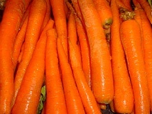 saftig und knackig: Möhren / Karotten Möhren / Karotten - Saftfutter für Pferde