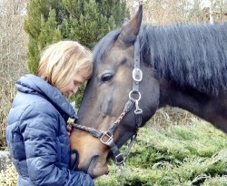 Stute mit Angelika C. Schweizer