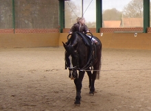 Voltigieren - Turnen auf dem Pferd